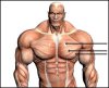 Pecs-300x243.jpg