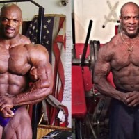 ВСЕ ЧЕМПИОНЫ ОЛИМПИИ НА ПИКЕ ФОРМЫ - И В НАШИ ДНИ! - YouTube