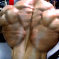 ДЕНЬ СПИНЫ - BACK DAY