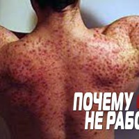 Почему не работает ФАРМА? [КМБ] - YouTube